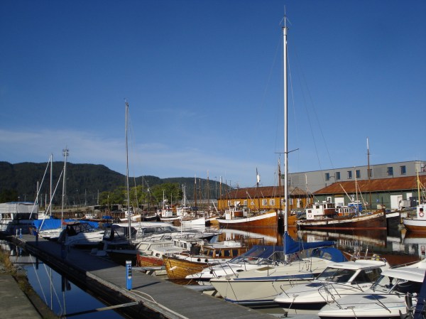DSC03737